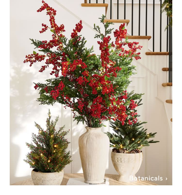 Shop Stockings & Botanicals